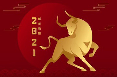 顺动国际传媒全体员工在此祝您新年快乐!