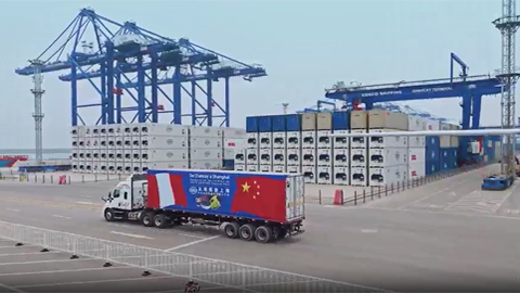 中远海运秘鲁钱凯港开港仪式